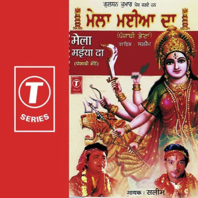 Download Tere Gun Gaayen Saleem-Parvez, Master Saleem mp3 song, Tere Gun Gaayen full album download
