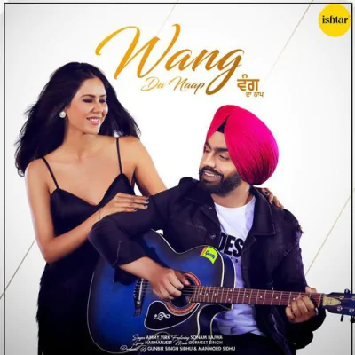 Download Wang Da Naap Ammy Virk mp3 song, Wang Da Naap full album download