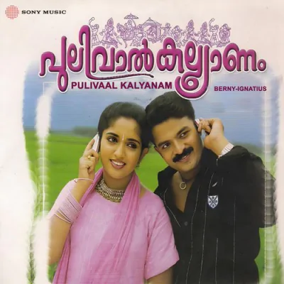 Download Aaruparanju Kaithapram, Berny-Ignatius, P. Jayachandran, K. S. Chithra mp3 song, Aaruparanju full album download