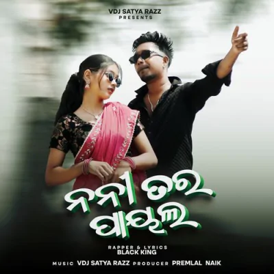 Download Nani Tar Paayal Black King mp3 song, Nani Tar Paayal full album download