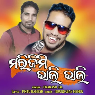 Download Marijimi Bhali Bhali Prakash Jal mp3 song, Marijimi Bhali Bhali full album download