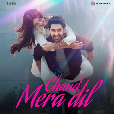 Download Phir Ajnabi Amitabh Bhattacharya, Sachin-Jigar, Junaid Ahmed mp3 song, Phir Ajnabi full album download