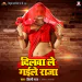 Dilwa Le Gaile Raja