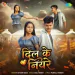 Dil Ke Niyare