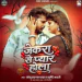 Jekra Se Pyar Hola