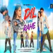 Dil Todek Rahe (Original)