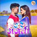 A RE ANJALI