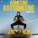 Aameena Kattameena