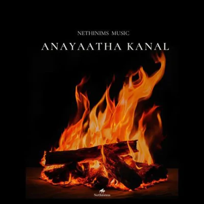 Anayaatha Kanal (2025) Malayalam Mp3 Songs Download